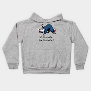 It's Trash Can Not Trash Can't Kids Hoodie